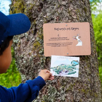 Natursti på Fløyen