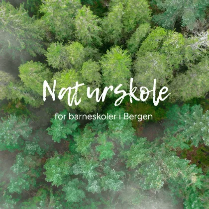Naturskole